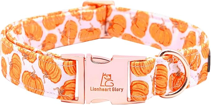 Lionheart glory Halloween Dog Collars Pumpkin Dog Collar Heavy Duty Adjustable Fall Dog Collar for Medium Collar Dog Female or Male Dog Collar