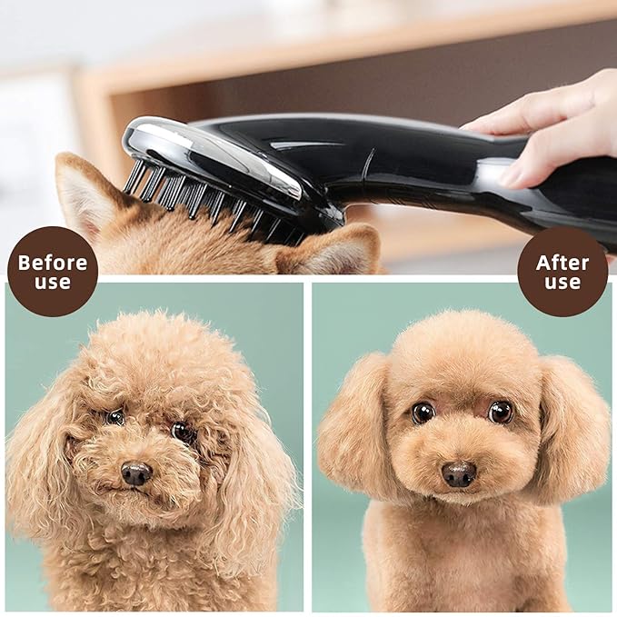 2 in 1 Pet Hair Dryer Blower with Brush 1000W Adjustable Temperature Slicker Shedding Brush for Hort Haired and Medium Small Coated Breeds