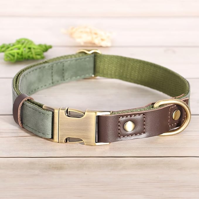 Didog Soft Padded Leather Dog Collar for Large Dogs, Classic Heavy Duty Dog Collars with Quick Release Metal Buckle, Adjustable Large Dog Collar Leather,Green,L
