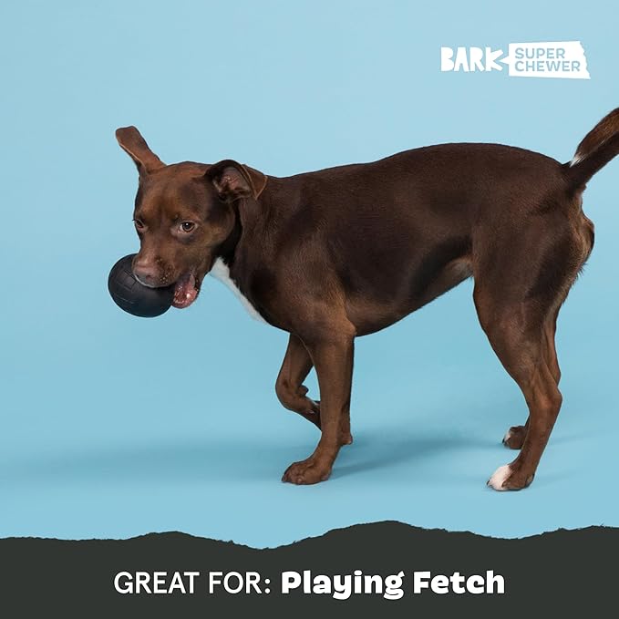 Barkbox Super Chewer Tough Dog Chew Toys for Aggressive Chewers, Treat Dispensing (Origin - Large)