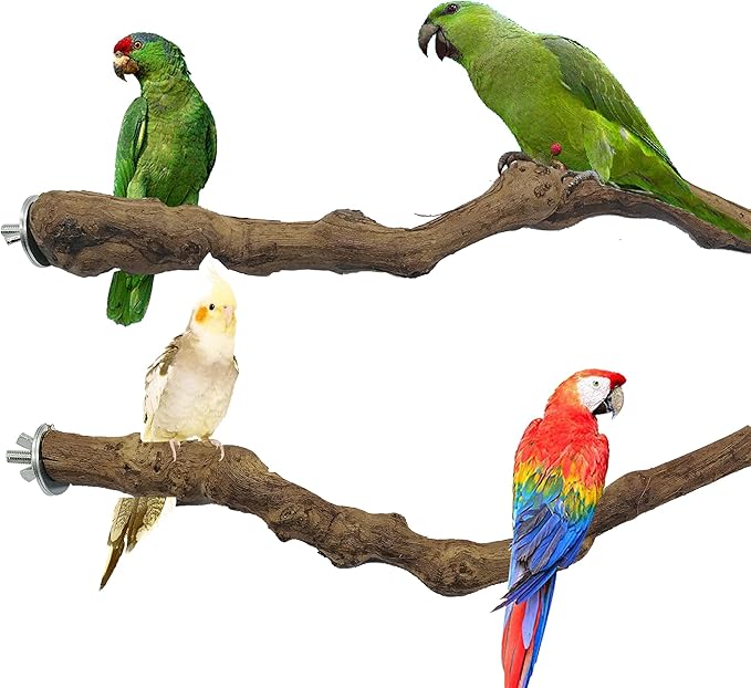 Allazone 2 PCS Natural Grape Stick Fork Bird Perch Bird Standing Stick Chewing Bird Toys Natural Grapevine Bird Cage Perch for Parrot Cages Toy for Cockatiels, Parakeets, Finches