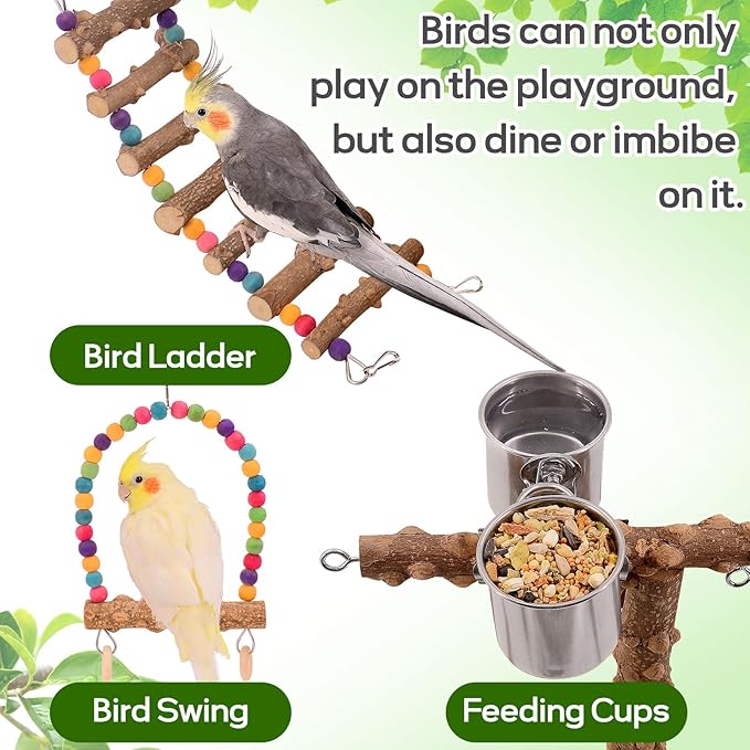 Bird Playground, Bird Perch Play Stand, Conure Parakeets Parrots Cockatiel Toys, for Bird Cage Accessories, Natural Wood