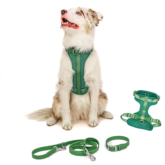 Dog Harness and Leash Set | BearBone No Pull Dog Harness and Waterproof Dog Collar and Leash Set | Heavy Duty Dog Harness, Leash and Collar | Leash, Collar and Harness Large Size Dog (Green, Large)