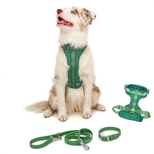 Dog Harness and Leash Set | BearBone No Pull Dog Harness and Waterproof Dog Collar and Leash Set | Heavy Duty Dog Harness, Leash and Collar | Small Dog Harness and Leash Set (Green, Small)