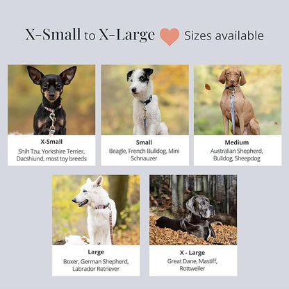 Lucky Love Dog Christmas Holiday Winter Dog Collars | Cute Colorful Comfortable Collar for Small Medium Large Dogs | Girl Boy Dog Collar | Part of Purchase Donated to Dog Rescue