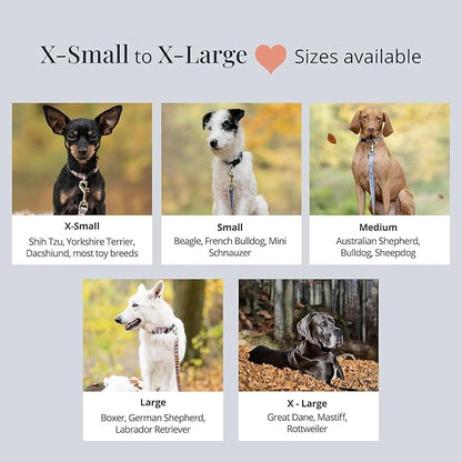 Lucky Love Dog Collar, Cute Winter Dog Collars for Medium Dogs, Blue Snowflake Dog Collar for Male and Female Dogs, Part of Purchase Donated to Dog Rescue - (Winterblue Collar, M)