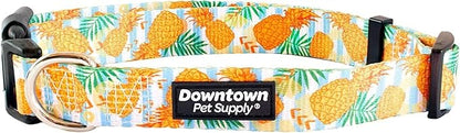 Downtown Pet Supply - Best, Cute & Fancy Dog Collar - Lightweight Adjustable Dog Collar with Quick Buckle & D-Ring - Hand Wash Safe - Pineapple - L - Large Dog Collar