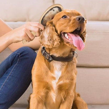 cobee Stainless Steel Pin Dog Brush, Bamboo Handle Grooming Brush 20mm Round Pins Airbag Pet Comb Professional Dog Pin Brush Fur Shedding Comb for Long or Short Hair Cat Dog