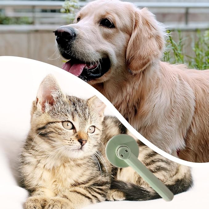 Slicker Dog Brush Multifunction Cat Grooming Brush Comfortablecomfortable Pet Slicker Comb for Pet Dog Cat Deshedding Grooming Massage