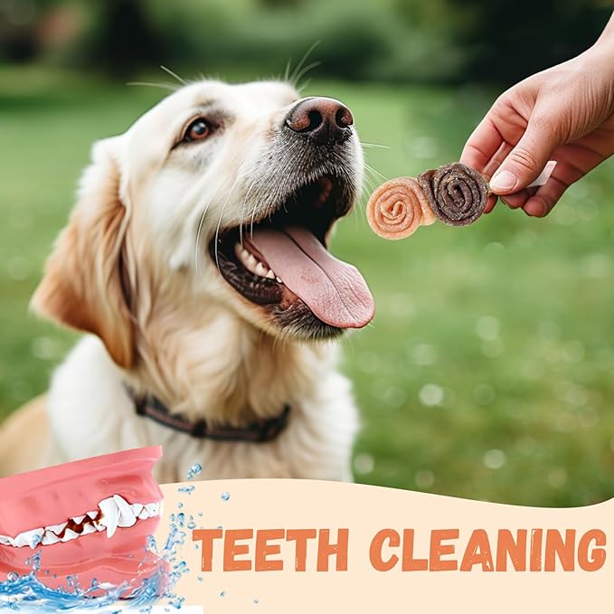 Dog Treats, Chicken Duck Big Roll with Rawhide Stick Healthy Dog Jerky High Protein Dog Training Treats Dog Snacks Chewy for Medium Large Dog 4 Counts