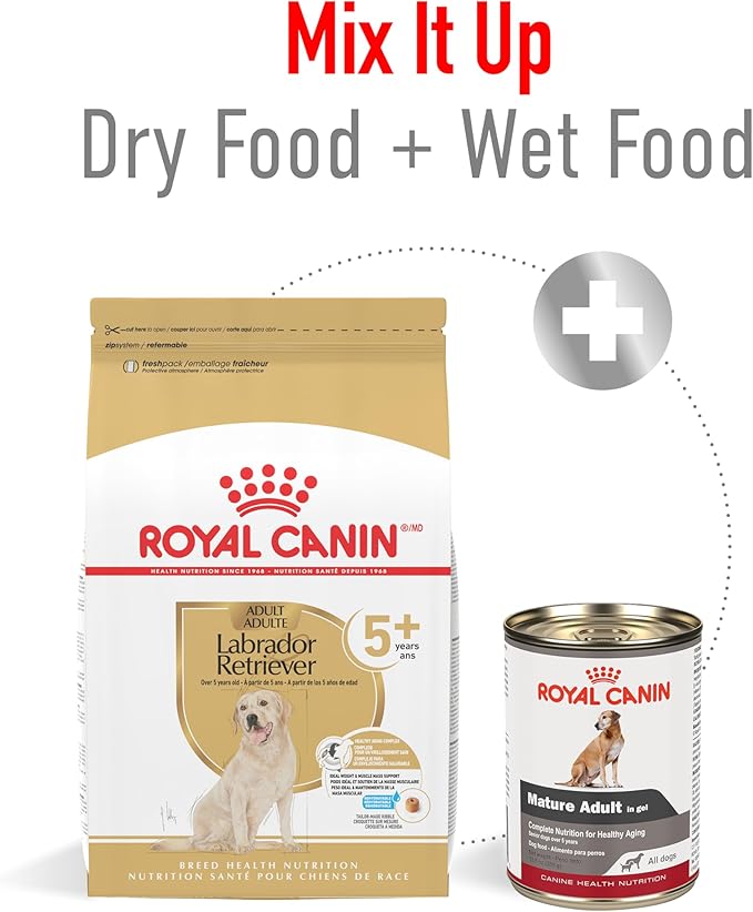Royal Canin Breed Health Nutrition Labrador Retriever 5+ Mature Dry Dog Food, 28 lb Bag