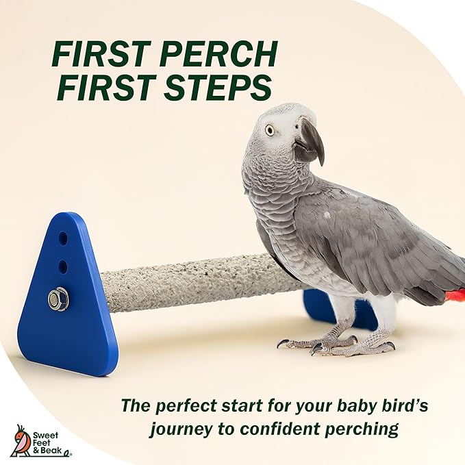 Bird Stand - Perfect Cage Accessories for Large Birds