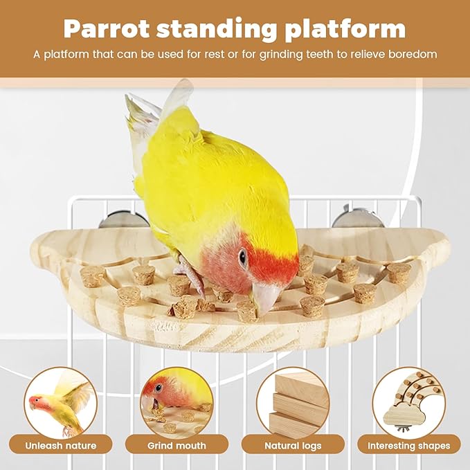 Bird Chew Toy with Screw Mount – Wooden Foraging Toy for Parrots, Cockatiels, Conures, Budgies, Finches, Small to Medium Birds, Secure Cage Attachment, Safe and Durable Design (Rainbow)