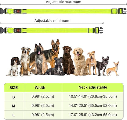 BSEEN Light Up Dog Collars - Glowing LED Dog Collar, Reflective Puppy Collar, Adjustable Lighted Dog Collar, Rechargeable Pet Collar for Night Walking (Green-II, Large)