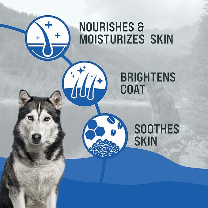 Dr. Boe's Veterinary Essentials BrilliantCoat Whitening Shampoo & Conditioner for Dogs & Cats  with Colloidal Oatmeal, Piña Colada Scent - Brightens & Hydrates Coat, Moisturizes Skin - 12 Fl Oz.