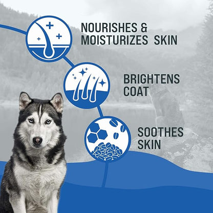 Dr. Boe's Veterinary Essentials BrilliantCoat Whitening Shampoo & Conditioner for Dogs & Cats  with Colloidal Oatmeal, Piña Colada Scent - Brightens & Hydrates Coat, Moisturizes Skin - 12 Fl Oz.