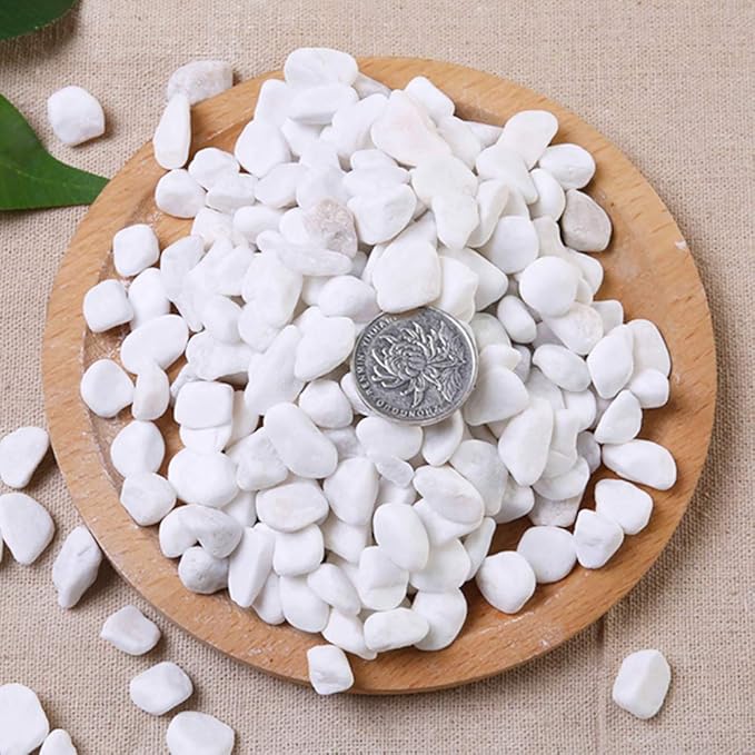 WAYBER 2 Lb/920g White Stones Decorative Pebble Rock Sand for Aquarium/Fish Turtle Tank/Vase Filler/Succulent Plants Decoration (Fill 2 Cups)