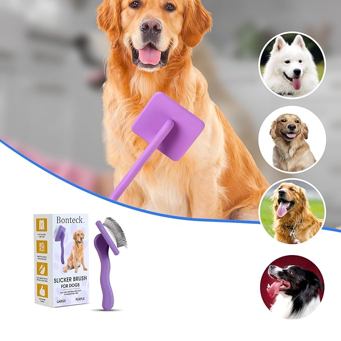 Dog Slicker Brush for Grooming Pet Hair, Large Size, Purple, Long Haired Brush For Dogs (Poodles, Goldendoodles, Labradoodles), Long Pin Brush For Dematting