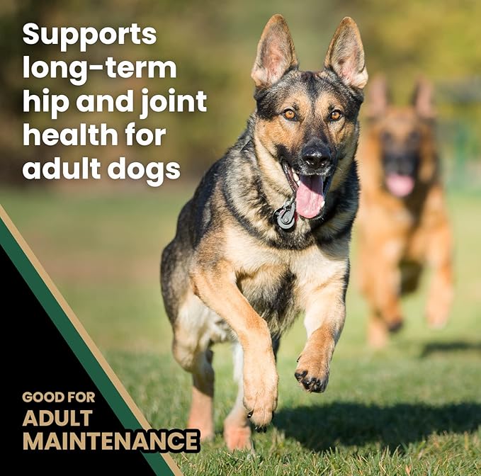 VICTOR Super Premium Dog Food  Purpose Hero Canine Kibble  Premium Gluten Free Dog Food for Active Adult Dogs  High Protein with Glucosamine and Chondroitin for Hip and Joint Health, 50lbs