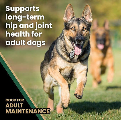 VICTOR Super Premium Dog Food  Purpose Hero Canine Kibble  Premium Gluten Free Dog Food for Active Adult Dogs  High Protein with Glucosamine and Chondroitin for Hip and Joint Health, 50lbs