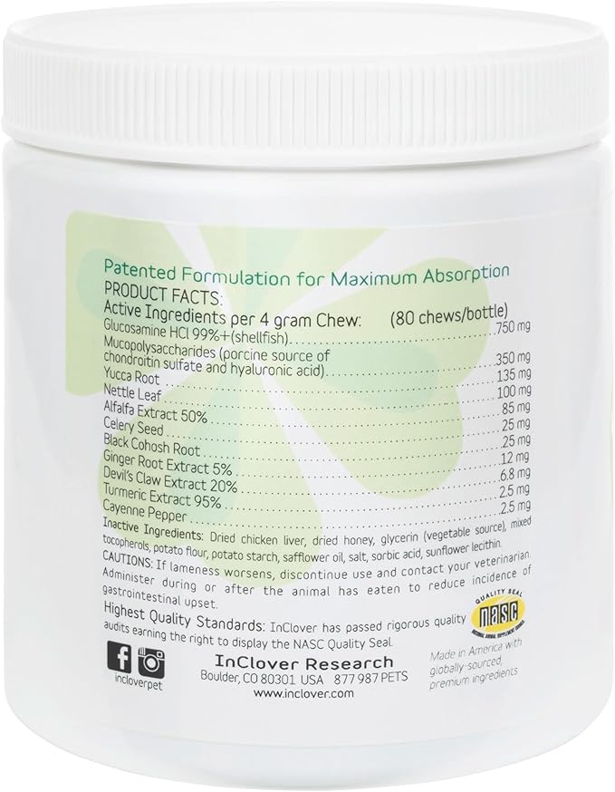 In Clover Hip and Joint Supplement for Large Dogs 70 Pounds and Up with Glucosamine Chondroitin, and Hyaluronic Acid  Formulated for Large Breeds  Clinically Proven Hip and Joint Support