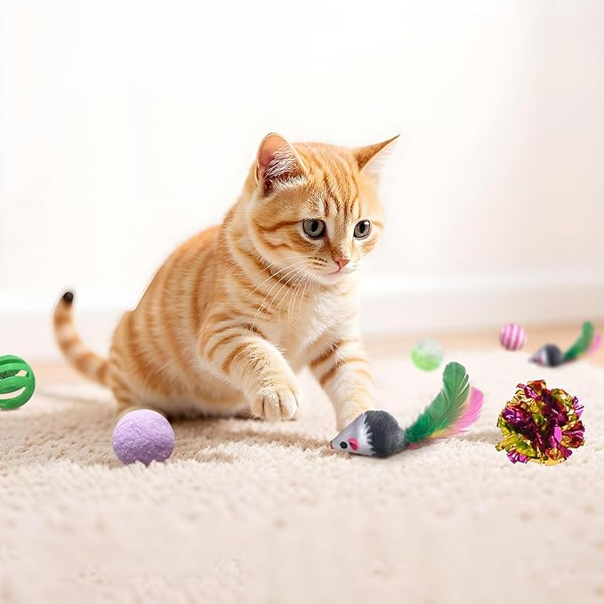 AGYM Cat Toys for Indoor Cats, 35 Packs Interactive Cat Toys Set with Colorful Springs, Mouse Cat Toy, Crinkle, Sisal, Pompom and Color Bell Balls for Kittens