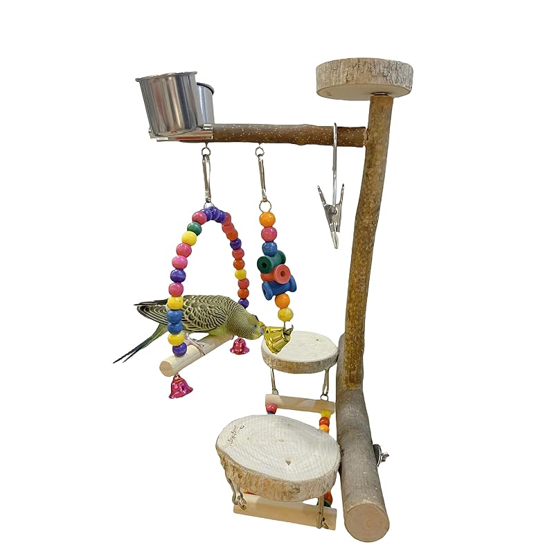 Natural Wood Bird Perch Playground for Outside the Cage Wall, Bird Platform and Play Area for Small to Medium Parrots like Cockatiels, Conures, Parrotlets, Lovebirds, and Budgies, Bird Cage Accessory