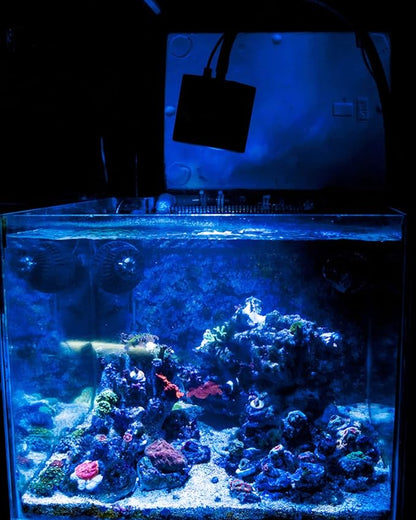 Lominie Aquarium LED Light, Reef Coral Light Full Spectrum Saltwater Aquarium Light with Remote Control Gooseneck for 10 Gallon Fish Tank