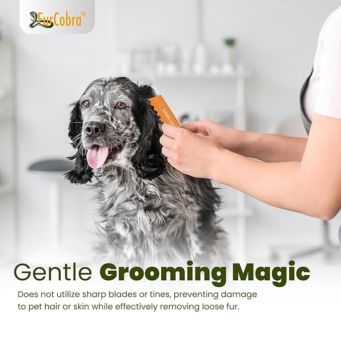 Direct 10 Pet Grooming Brush 3.54" - Gentle, No Metal Blades, Soft Dog, Cat Brush - Train Pets to be Brushed - Portable, Easy To Use Slicker Pet Grooming Tool for Dog, Cat, Puppy, Kitten Hair
