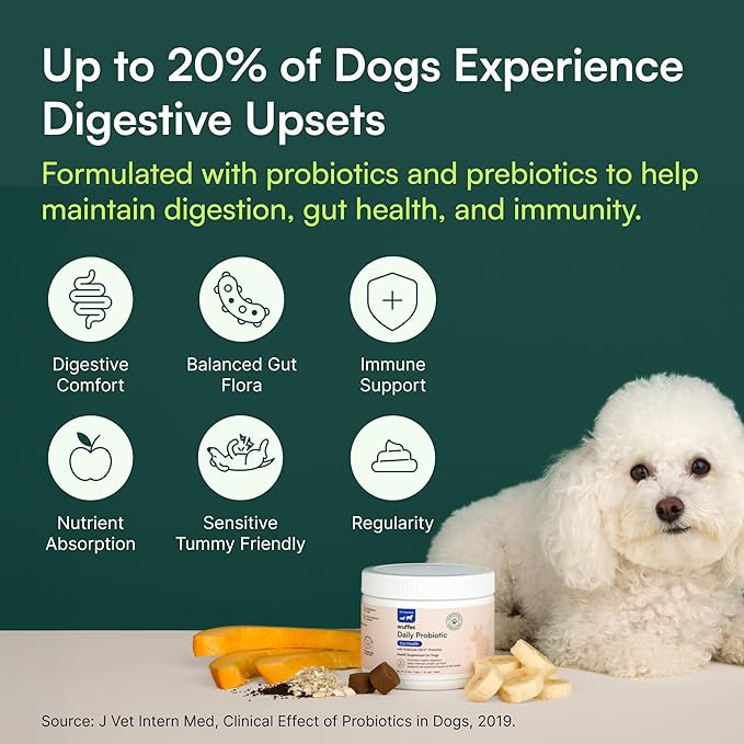 Wuffes Daily Probiotic for Dogs - Supports Digestive Health, Gut Balance, and Immune System - with Prebiotics, Marshmallow Root, and Pumpkin Powder - 60 Soft Chews
