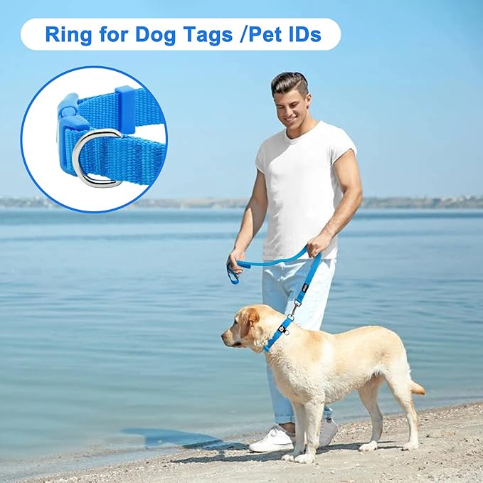 azuza 3 Pack Dog Collars Comfortable and Adjustable Nylon Dog Collars for Puppy Small Dogs, XS (8-12inch)ï¼_reen, Blue and Royal Blue