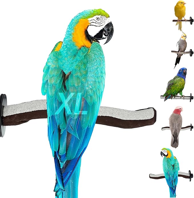 Sweet Feet and Beak Superoost Manzanita Pumice Pedicure Perch- Easy to Install Bird Cage Accessories for Healthy Feet, Nails and Beak - Natural Bird Perches Imitates Birds' Life in The Wild - XL 14"