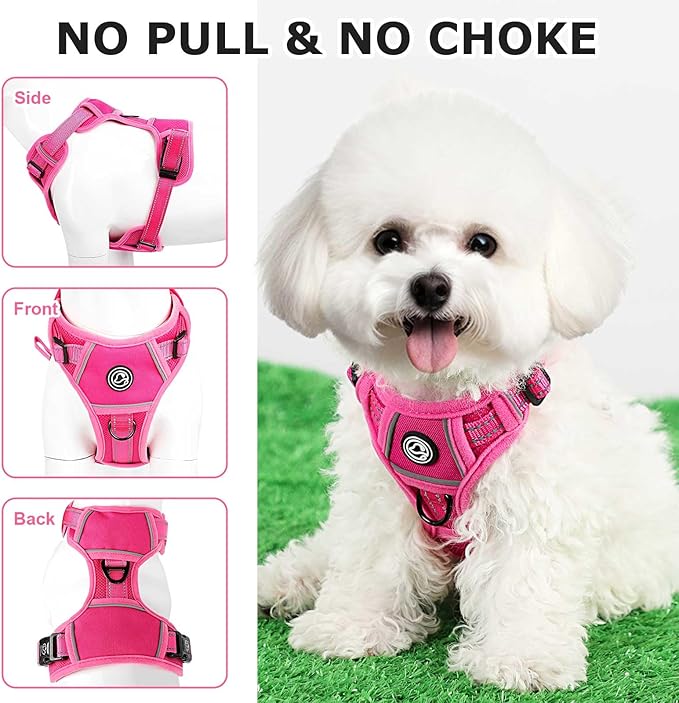 Dog Harness Small Sized Dog, No Pull Pet Harness with 2 Leash Clips, Adjustable Soft Padded Dog Vest Harnesses, Reflective No-Choke Pet Oxford Vest