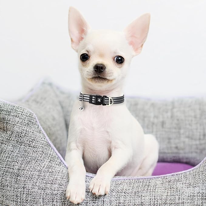 Reflective Dog and Cat Collar with Bell - Hypoallergenic Adjustable Puppy Collar for Small Pets, Soft Nylon Night Safety with Reflective Strips (Silver, XS)