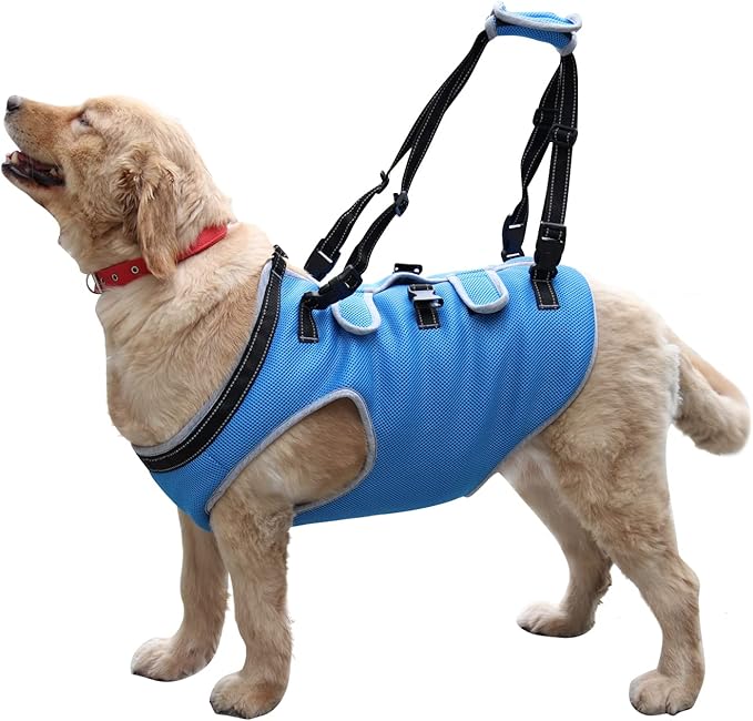 Dog Lift Harness, Recovery Sling Support Vest Stair Lift for Front Legs Only, Mobility Carrier with Handle for Senior, Elderly, Disabled, Joint Injuries, Arthritis, Paralysis- Medium