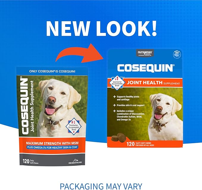 COSEQUIN Maximum Strength Joint Supplement Plus MSM & Omega-3's - With Glucosamine and Chondroitin - For Dogs of All Sizes (Soft Chews)