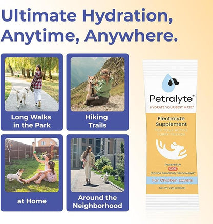 Petralyte Dog Electrolytes and Joint Supplement | Hydration Support for Dogs w/Glucosamine, Chondroitin & More | Electrolytes for Dogs with Prebiotics | for Chicken Lovers | 16 Packets