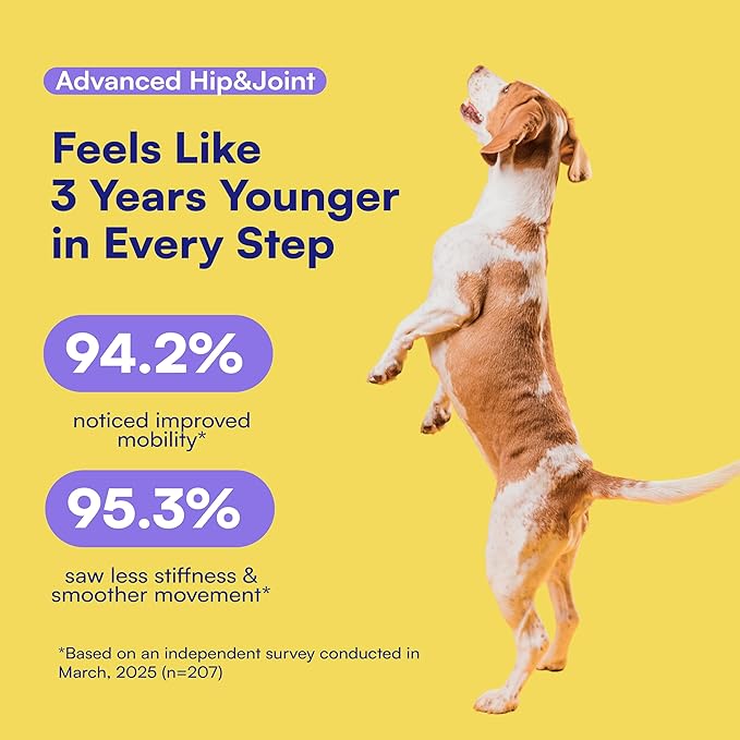 Advanced Hip & Joint Supplement for Dogs - 90 Soft Chews with Glucosamine, MSM, Chondroitin & Multivitamins - Helps Mobility, Flexibility & Arthritis Relief - Made with Pasture-Raised Chicken