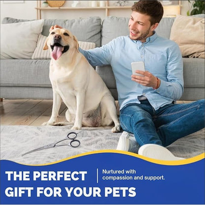 Dog Grooming Scissors, Hair Cutting Shears with Ball Tip Curved,Grooming Scissor for Pet, Scissors for Dogs,Safety Round Tips, Barber Supplies Pet and Saloon Use (Ball CVD 6.5)