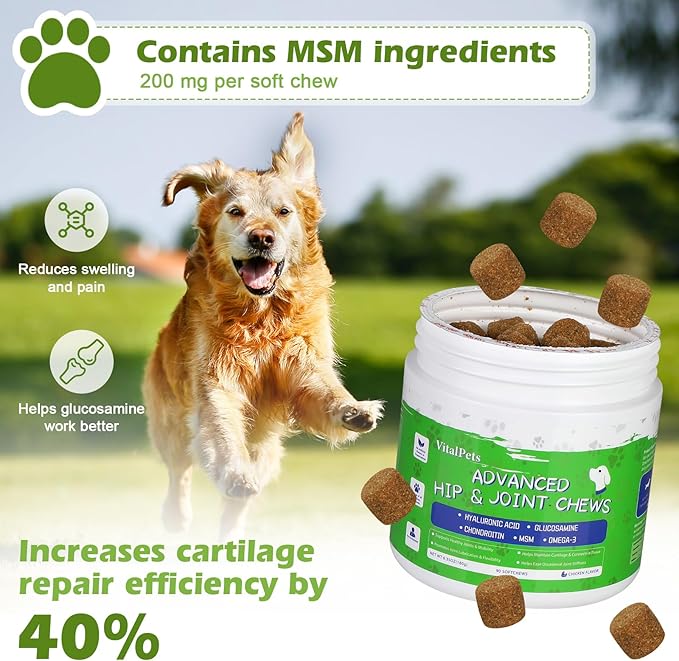 Advanced Hip and Joint Supplements for Dogs Joint Pain Relief with Glucosamine, Chondroitin, MSM, Vitamins C, 90 Soft Chews, Chicken Flavor