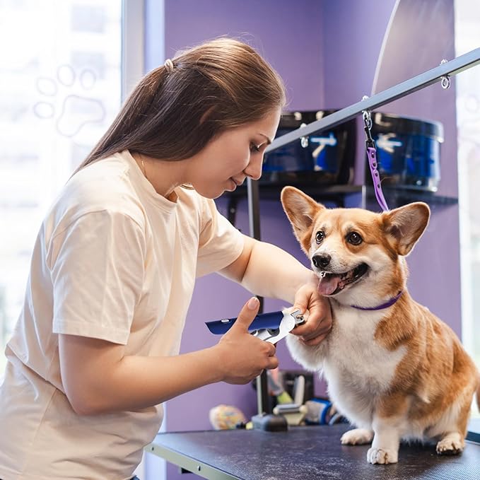 2 in 1 Dog Nail Grinder & Dog Nail Clippers Trimmers with LED Light, 3-Speed Pet Nail Clippers for Small Medium Large Dogs Cats, Dog Nail Grinder Set Quiet & Safety