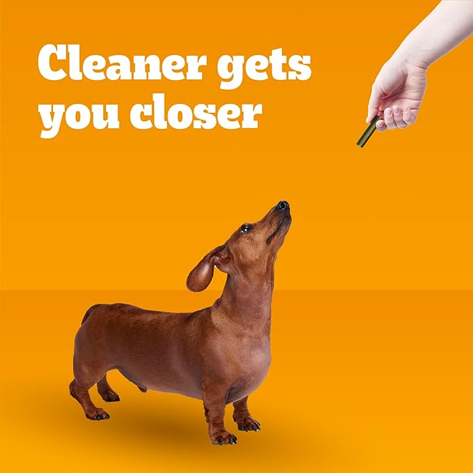 Pedigree Dentastix Small and Toy Breed Dog Treats, Fresh Flavor, 12.31 oz. Bag (51 Treats)