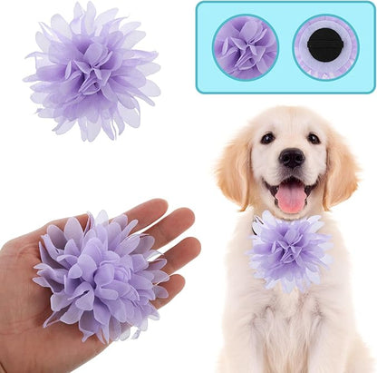 8 Pcs Dog Collar Flowers Pet Collar Flowers Dog Collar Charms Dog Bows Girl Dog Accessories Dog Bows with Rubber Bands