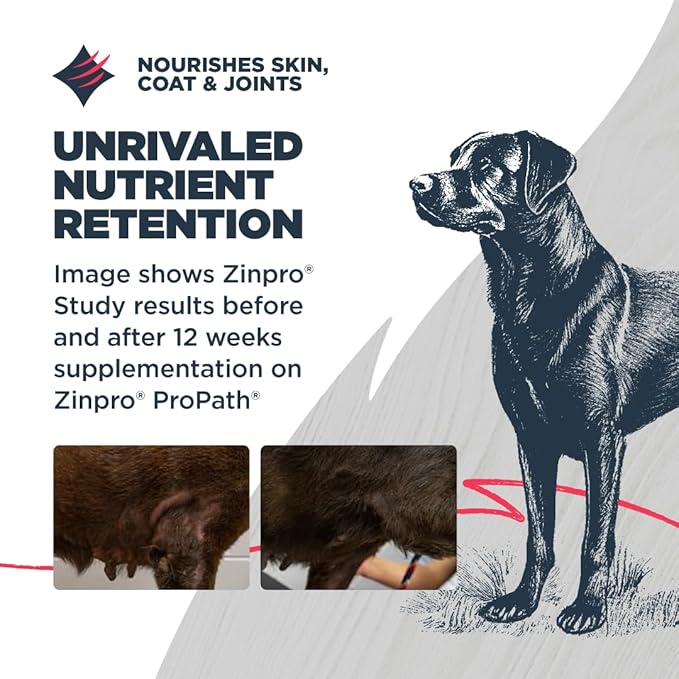 Blackwood Grain Free Dry Dog Food, Salmon & Field Pea Recipe, 10 Pound Bag for All Life Stages, Slow Cooked with Vitamins & Minerals for a Balanced Diet