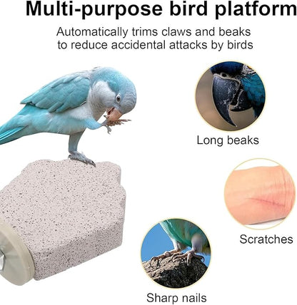 4Pcs Bird Beak Grinding Stone, Bird Perches Calcium Parrot Perch Stand Parrot Teeth Mouth Molar Cage Accessories Platform Paw Grinding Sticks Jumping Stand for Budgie Cockatiel Conure Finch