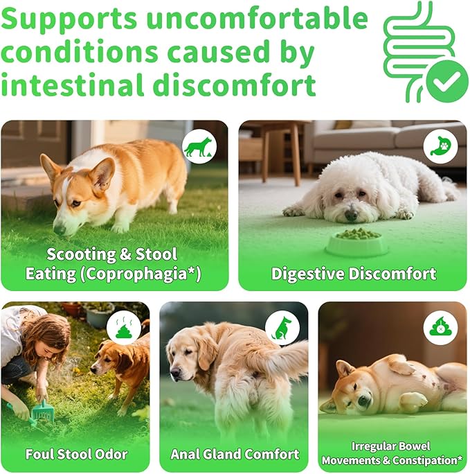 Dog Probiotics & Digestive Enzymes – Pumpkin Fiber Chews for Gut Health, Constipation& Upset Stomach Relief, Gas & Stool Support, Chicken Flavor Soft Chews – 90 Count