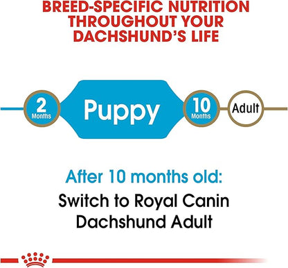 Royal Canin Dachshund Puppy Breed Specific Dry Dog Food, 2.5 lb bag