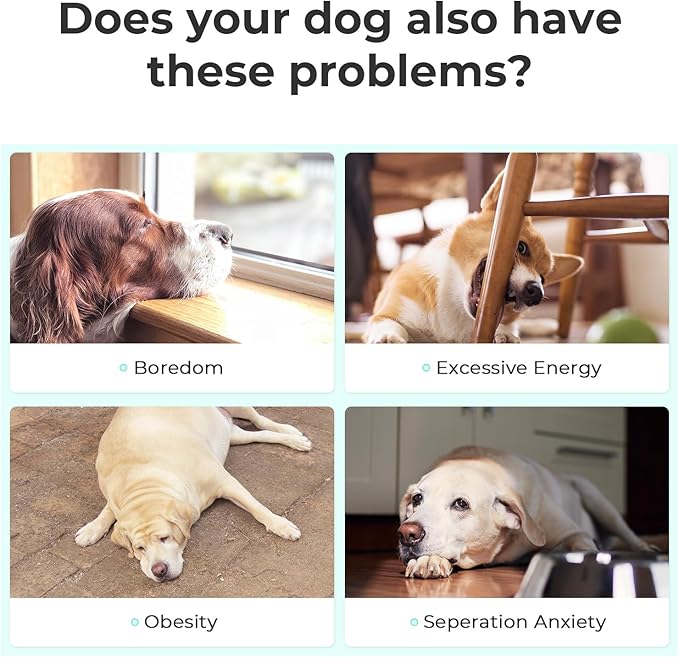 Interactive Dog Toys, Wicked Ball SE, 3 Interactive Modes,Enhanced Rubber Active Rolling Dog Toy with LED Lights for Small Medium Dogs, Motion-Activated Dog Stimulation Toy for Boredom Relief