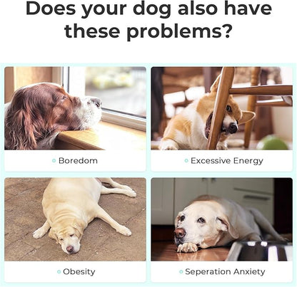 Interactive Dog Toys, Wicked Ball SE, 3 Interactive Modes,Enhanced Rubber Active Rolling Dog Toy with LED Lights for Small Medium Dogs, Motion-Activated Dog Stimulation Toy for Boredom Relief