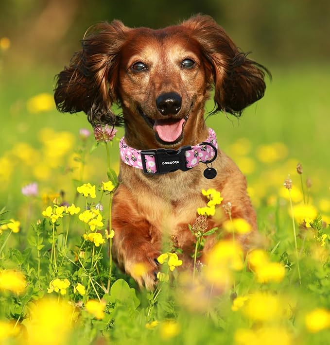 DOGWONG Pink Dog Collar, Female Dog Collar Durable Soft Natural Fabric Pet Girl Dog Collar Cute Daisy Puppy Necklace for Small Medium Large Dog